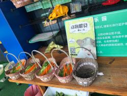 -可可天空农场(中大店)