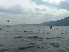 -滇池海埂公园