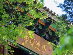 -寂照庵