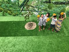 -都念榴莲·城市榴莲