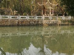 -亭林公园