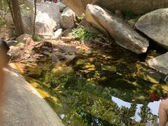 -黑龙潭风景区