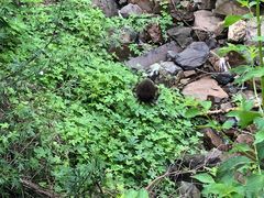 -南宫温泉水世界