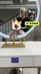 短发-飞梵造型