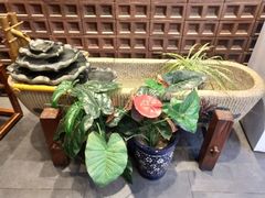 -毅祥斋老孙家泡馍(西羊市店)