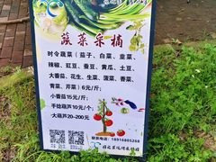 -嘉北郊野公园