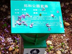 -郑和公园