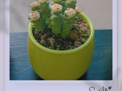 -DUFF LANGE杜夫朗格蛋糕(长沙店)