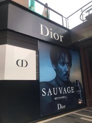 点击看大图 -Dior