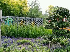 -武清南湖绿博园