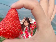 -阿林有机农庄