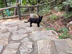 -燕窝岭