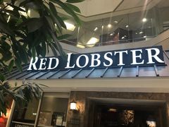 -RED LOBSTER(多伦多DT店)