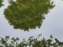 -南国桃园旅游度假区