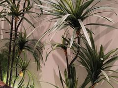 -糖糖屋•糖水•雪花冰店(时尚天河店)