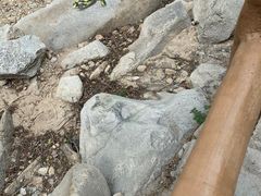 -黑龙潭风景区
