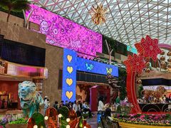 -视博茶点(美狮美高梅店)