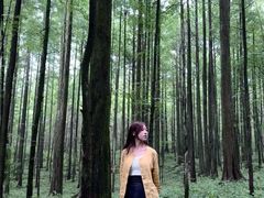 -武陵山森林公园