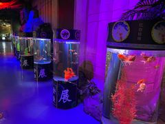 -梦幻海洋王国(吾悦广场张家港店)