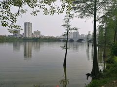 -飞来湖湿地公园
