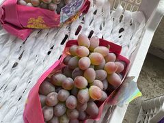 -马陆小张葡萄园农家乐