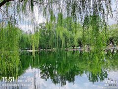 -青城公园