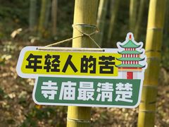 -东明山森林公园
