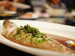 -金地大酒店-中餐厅