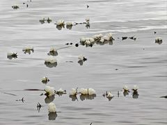 -丽江泸沽湖景区