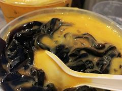 -杨枝金捞甜品(氹仔泉澧店)