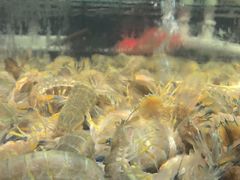 -阳江餐厅·30年老字号·粤菜海鲜大排档