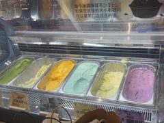 -极拉图·现制冰淇淋(大卫城店)