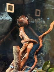 -Zoolung Zoolung动物主题公园(海信广场店)