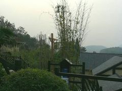 -崇阳三特浪口温泉