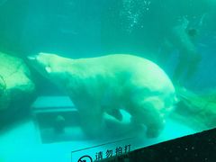-泉城欧乐堡海洋极地世界