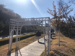 -棒棰岛宾馆景区