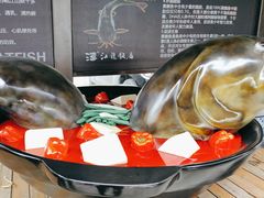 -江龙饭店·乌江豆腐鱼(乌江老桥头店)