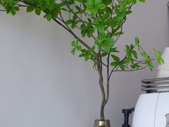 -Eu2+ coffee(上大路店)