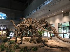 -自贡恐龙博物馆