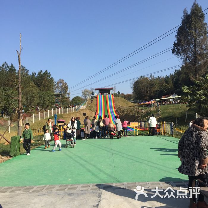 松鼠部落森林假日乐园图片-北京儿童主题乐园-大众点评网