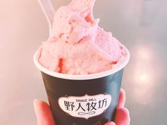 -野人牧坊Gelato(天津南开大悦城店)