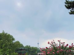 -钓鱼台国宾馆