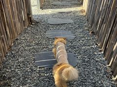 -小时光咖啡馆(开森度假森林店)