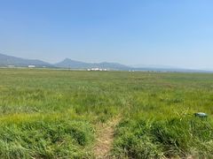 -敕勒川草原
