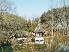 -上海醉白池公园
