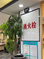 -倾城护肤造型