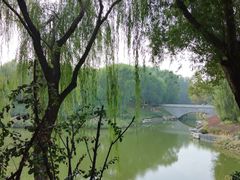 -大兴滨河森林公园