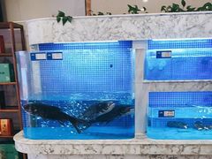 -香山湖渔家大院