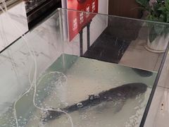 -旺顺阁鱼头泡饼(常营店)