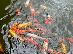 -珠海圆明新园
